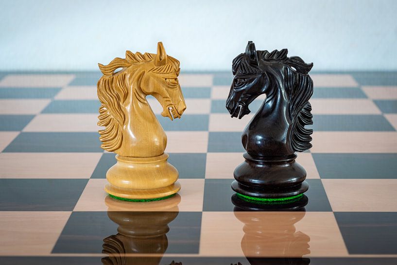 Two horses against each other by Menno van der Haven