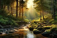 Stream in the forest