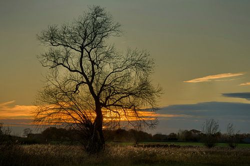 laatste minuten van het licht