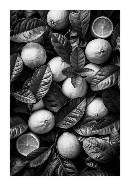 Fresh lemons and green leaves in black and white by Poster Art Shop