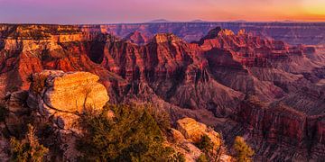 Grand Canyon bij zonsondergang, Arizona, VS van Markus Lange