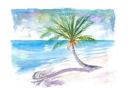 Big palm tree to dream away on a white Caribbean beach by Markus Bleichner