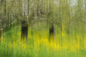 Gelbe Blumen im Obstgarten