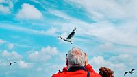 De zeemeeuw fotoschieter