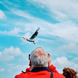 The Seagull Photo-Shooter von Momentaufnahme | Marius Ahlers