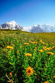 Berg und Gletscher in Georgien bei Ushguli von Leo Schindzielorz