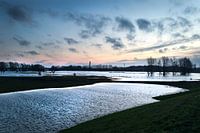 Uiterwaarden en rivier