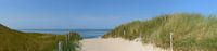 Pfad durch die Dünen, der zum Strand führt von Sjoerd van der Wal Fotografie Miniaturansicht