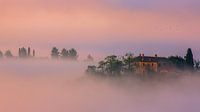 Villa im Nebel, Toskana von Henk Meijer Photography Miniaturansicht