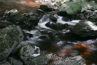 stones in a wild creek