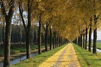 Herfst