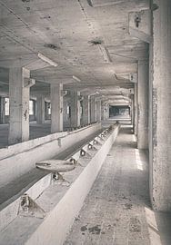 Abandoned sites: Sphinx factory Maastricht Eiffel building ceramics job. by OK-ART