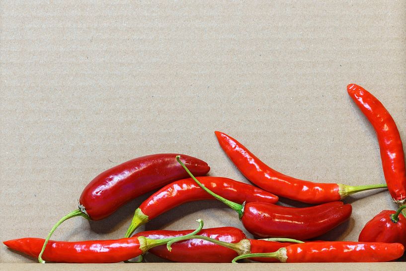 some hot red chili peppers cardboard background by Markus Gann