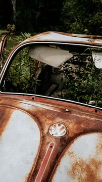 Cimetière de voitures abandonnées en Suède I travel photography sur Studio Julie