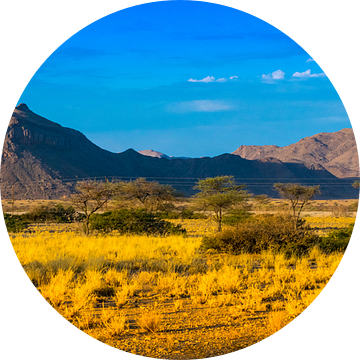 Panorama van de heuvels van Damaraland, Namibië van Rietje Bulthuis