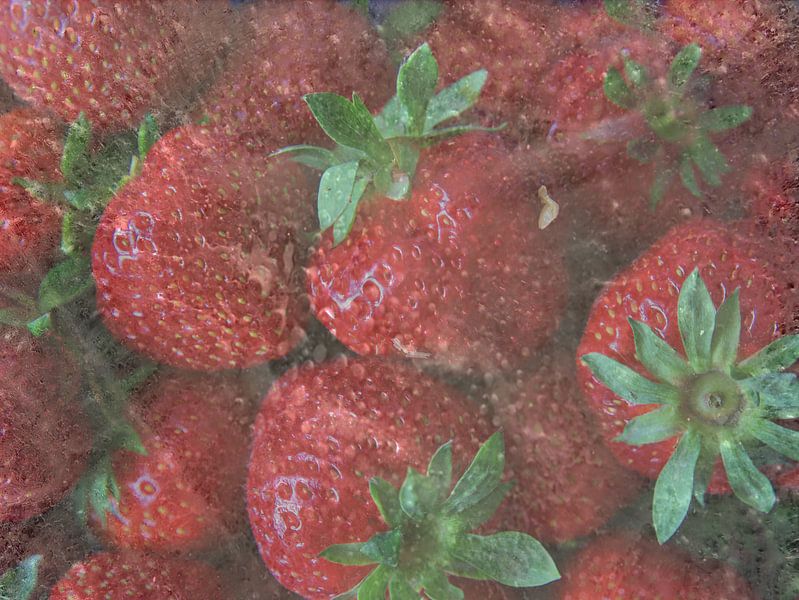 fraises congelées par Edgar Schermaul