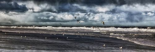 Schiermonnikoog - Noordzeepanorama