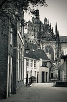 Het pittoreske straatje In den Boerenmouw van Den Bosch