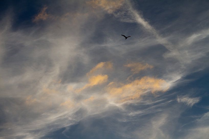 zeelucht met vogel silhouette - 1 van Arnoud Kunst