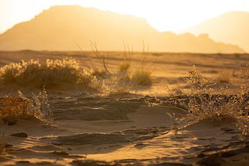 Coucher de soleil dans le Wadi Rum sur Patricia Van Roosmalen