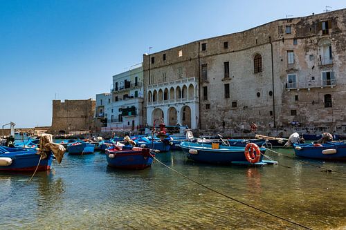 Boten in Monopoli