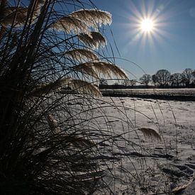 Sonne, Schnee, Kälte, von Gerda Guichelaar