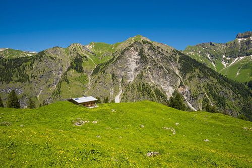 Alm, Allgäu Alps