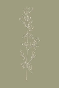 Boho-Botanische Blume auf Salbeigrün Nr. 2 von Dina Dankers