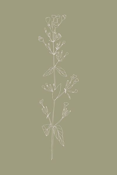 Boho botanical flower on sage green no. 2 by Dina Dankers
