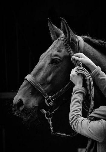 die Arbeit eines Stallknechts