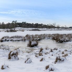 Hatertse und Overasseltse Vennen an einem schönen Wintermorgen mit Raureif. von Norbert Versteeg