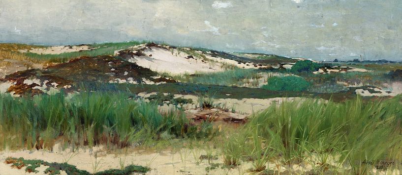 C Morgan McIlhenney,Zandduin Nantucket van finemasterpiece