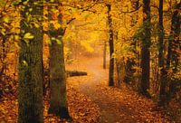 Goldener Herbstwald