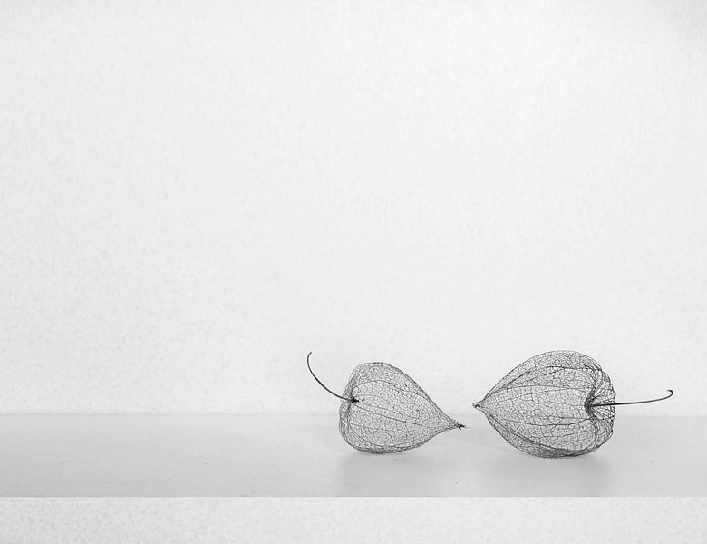 Stilleben mit Laternen von Corinne Welp