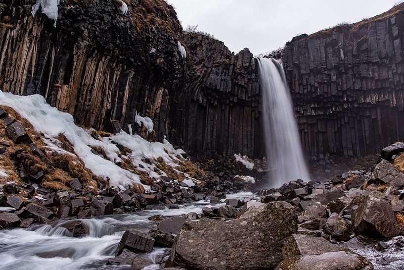 Svartifoss von Andreas Jansen