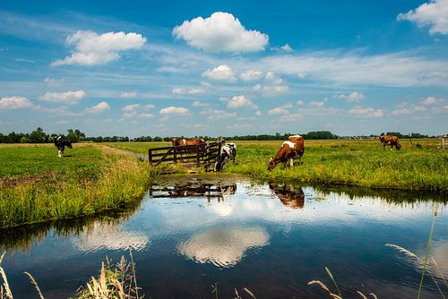 Wasser und Reflexionen.