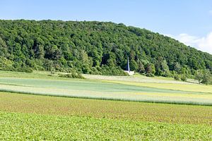 Denkmal mit den sterblichen Überresten von Soldaten, die während des Zweiten Weltkriegs auf dem Schlachtfeld gefallen sind