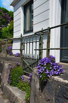 Die Blumen am Tor. von Elbkind89