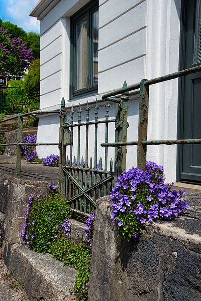 The flowers at the gate. by Elbkind89