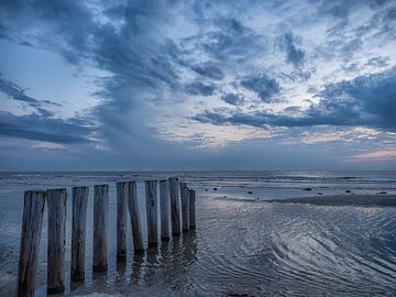 Het blauwe uurtje van Natascha Worseling