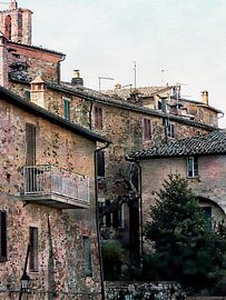 Rooftops And Views Panicale by Dorothy Berry-Lound