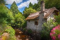 Summer colors in southern France by Marco Lodder thumbnail