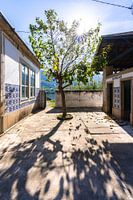Travelogue: Porto and wine region along the Douro river