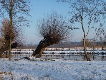 Winters landschap van M de Vos