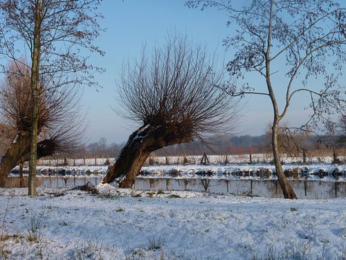 Winters landschap