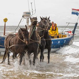 Stoere paarden in de zee van Jan Iepema