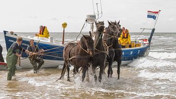 Stoere paarden in de zee van Jan Iepema