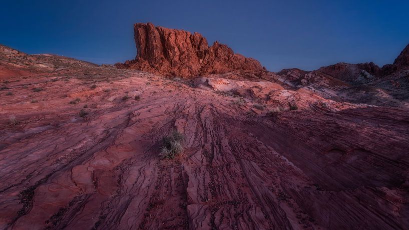 Valley of Fire, Nevada by Photo Wall Decoration