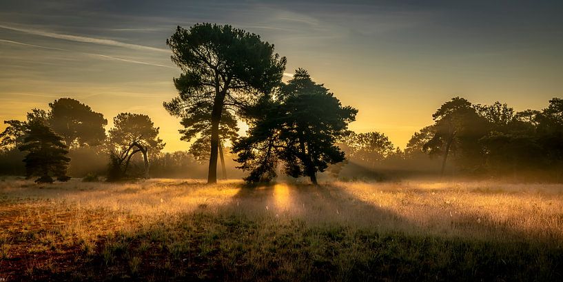 Morgenzauber von Peter Smeekens