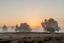 Zonsopkomst van Hans-Peter Nouwen